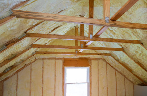 Best Specialized Insulation Services in Florence, AZ